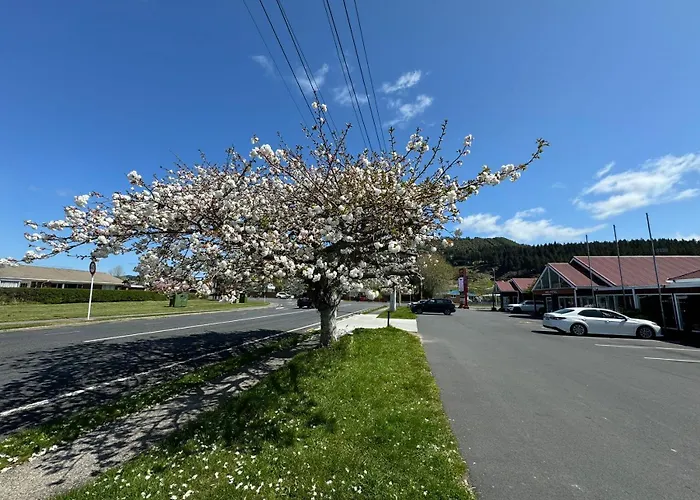 For 1, 2, 3, 4, 6 Or 7 Persons Hotel Rotorua